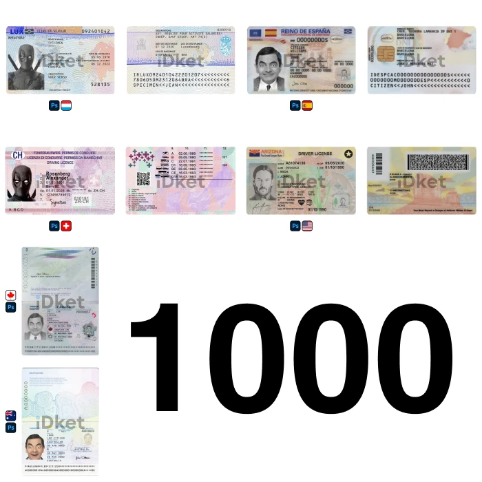1000temp 1000 Templates Bundle - Image 1