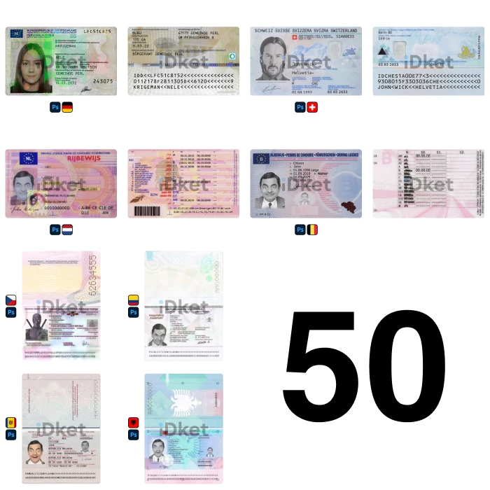 50temp 50 Templates Bundle - Image 1