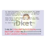 Netherlands ID Card PSD Template - Image 2