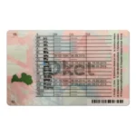 Latvia Driver License PSD Template - Image 2