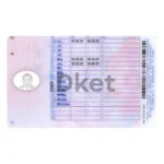 Romania Driver License PSD Template - Image 2