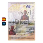 Spain Passport PSD Template (2 Ver.)
