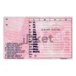 Spain Driver License PSD Template - Image 2