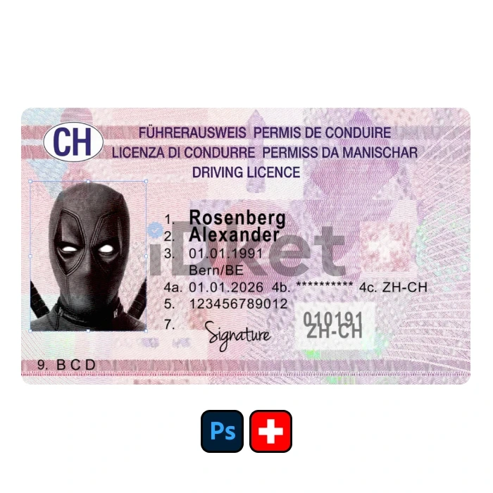 Switzerland-Dl2-1 Switzerland Driver License PSD Template - Image 1