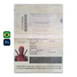 Brazil Passport PSD Template