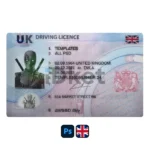 United kingdom (UK) Driver License PSD Template