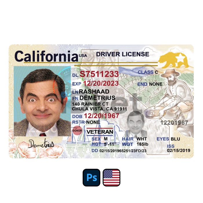 usa-dl-10 USA California Driver License PSD Template - Image 1