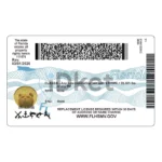 USA Florida Driver License PSD Template - Image 4