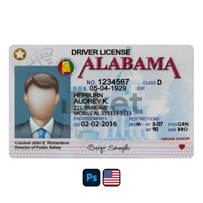 usa-dl-2 USA Alabama Driver License PSD Template - Image 1
