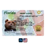 USA Florida Driver License PSD Template - Image 3