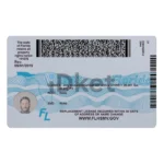 USA Florida Driver License PSD Template - Image 2