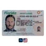 USA Florida Driver License PSD Template
