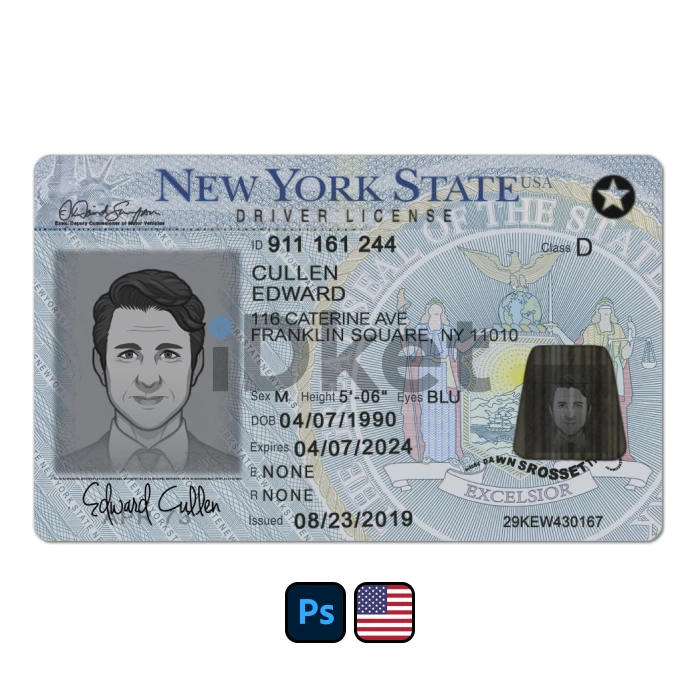 usa-dl-67 USA New York Driver License PSD Template - Image 1