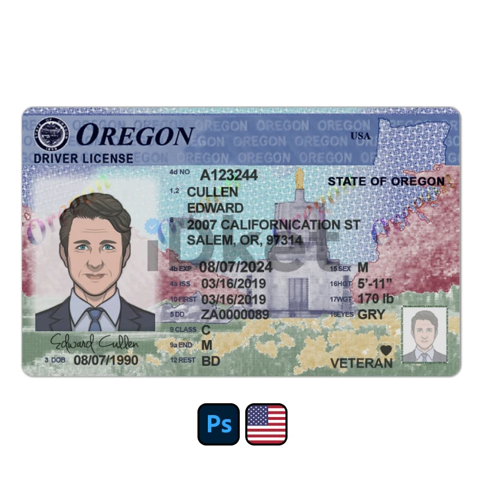 usa-dl-77 USA Oregon Driver License PSD Template - Image 1