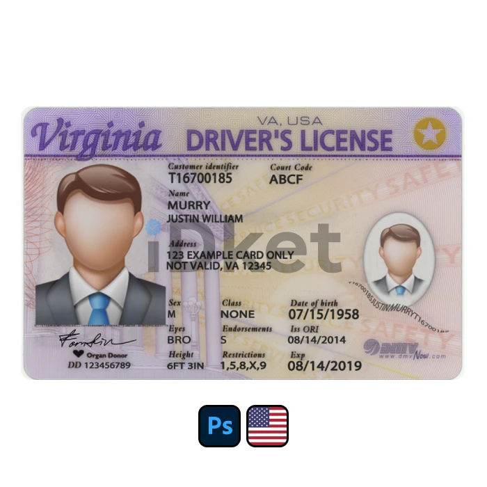 usa-dl-95 USA Virginia Driver License PSD Template - Image 1