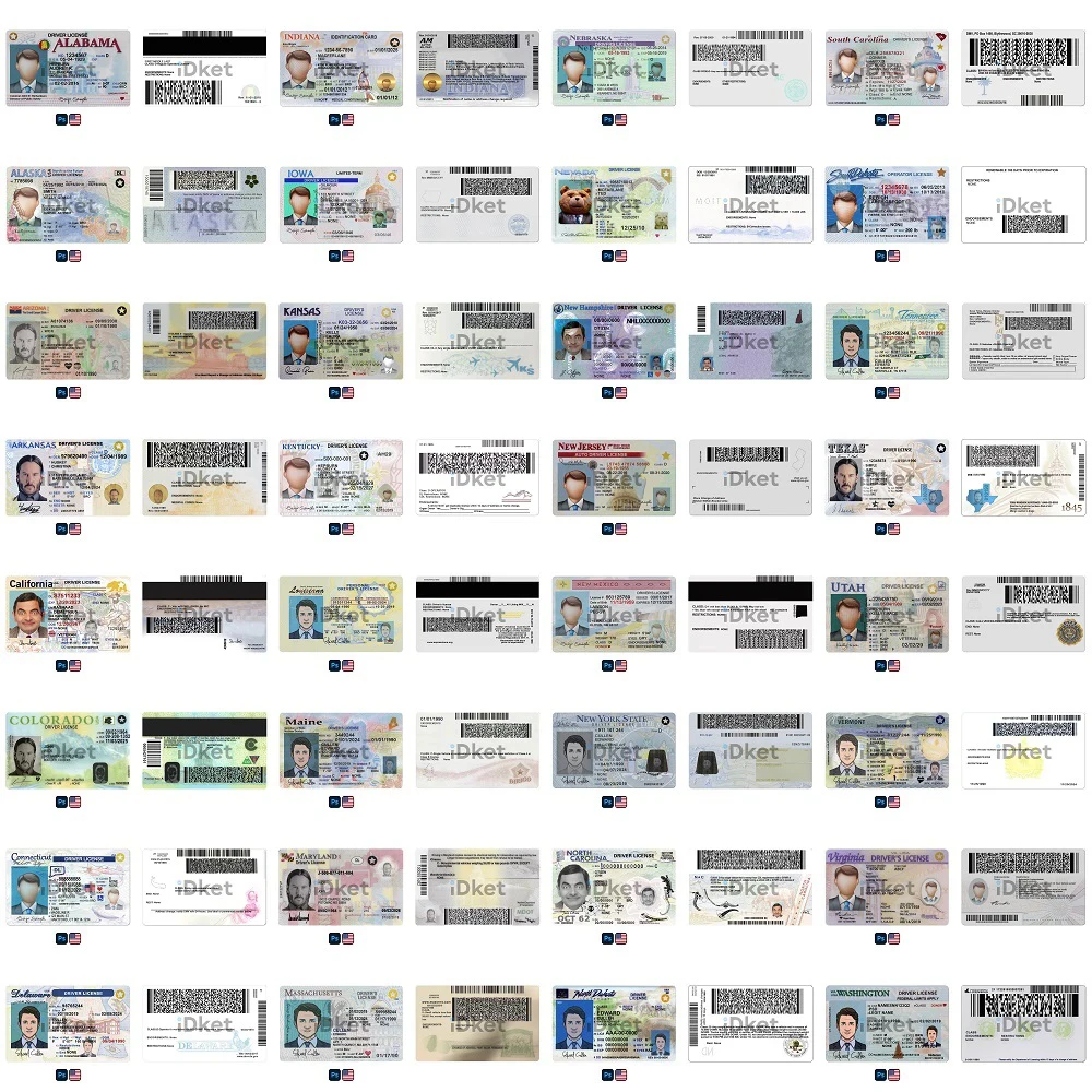 usdl-50st2 USA All 50 States Driving License PSD Templates - Image 1